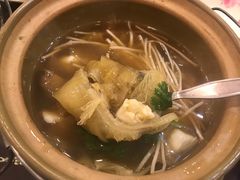 -大中鱼翅 Taitong Shark Fin