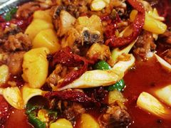 -新粤新疆菜(禅城店)