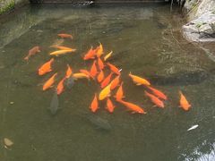 -途中饭店(开化店)