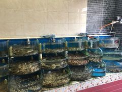 水产区-地方名吃海鲜大馅蒸饺(北戴河店)