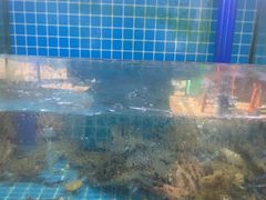 -坛南湾阿强农家乐.海鲜大排档老字号(福州地标美食店)