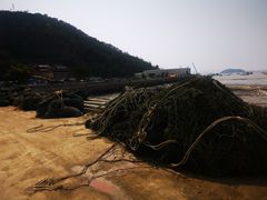 -小皓村
