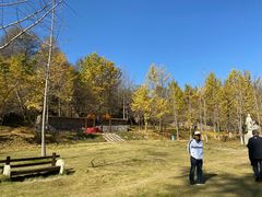 -千年银杏谷文化旅游区