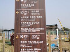 -上海长兴岛郊野公园