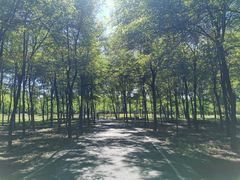 -东郊湿地公园
