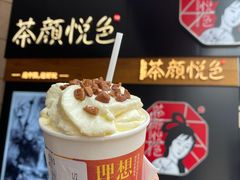 -茶颜悦色(高铁南站店)