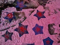 -沈阳海洋探索中心