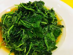 -鹿港小镇经典老上海菜(长乐路店)