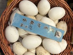 -蒙古苍狼蒙餐