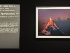 -罗红摄影艺术馆