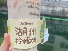 -猫的魔法密林(衣裳街店)