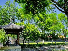 -三里河公园