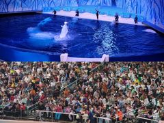 -珠海长隆海洋王国