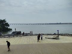 -宝安西湾红树林湿地公园