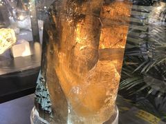 -天津梅江会展中心