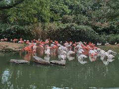 -上海野生动物园