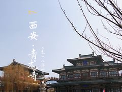-西安青龙寺遗址景区