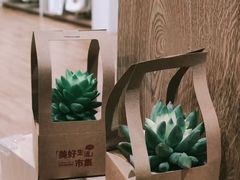 -VT101维多利广场