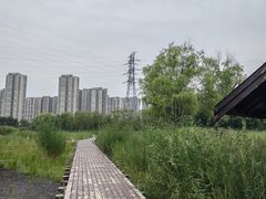 -永定河休闲森林公园