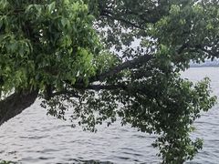 -浙江西子宾馆·瑶园咖啡厅