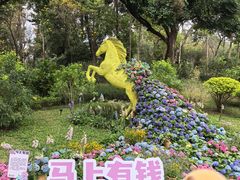 -云溪植物园