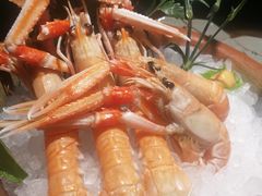 -蟹将军·松叶蟹和牛日料放题自助(K11店)