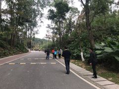 -火炉山森林公园