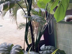 -椰小鸡·琼州糟粕醋·火锅(美兰缤纷城店)