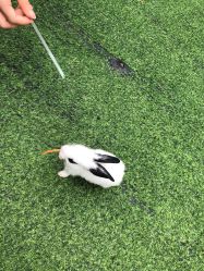 -萌宠亲子动物乐园(槐房万达店)