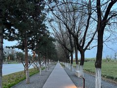 -汉长安城未央宫国家考古遗址公园