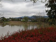 -西溪国家湿地公园