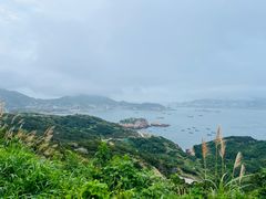 -枸杞岛