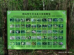 -崂山九水游览区