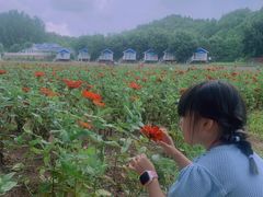-紫海香堤香草艺术庄园