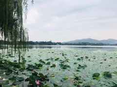 -云龙湖旅游景区
