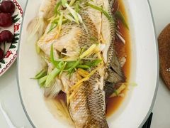 -鲸励母婴月嫂(望京店)