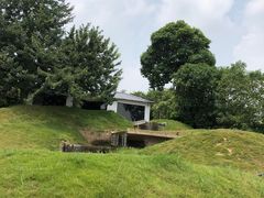 -凤阁楼果木烧鹅(鹤山陈山店)