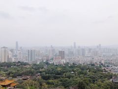 -兰山公园