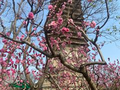 -玲珑塔公园