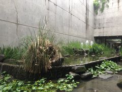 -中国湿地博物馆