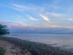 -深圳湾公园(南山区)