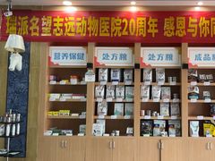 -瑞派名望志远动物医院·猫科·內科·异宠专科(直港大道店)