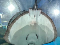 -福州罗源湾海洋世界旅游区