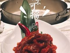 -汤城·料青山