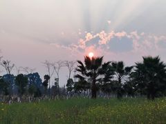 -抚仙湖禄充风景区