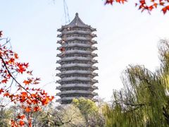 -博雅塔