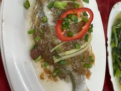 -蛇口康乐快餐鱼仔档(翠苑小区店)