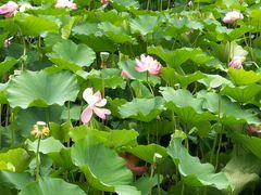 -山东大学(兴隆山校区)