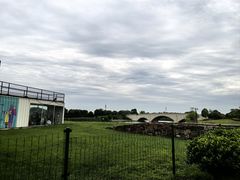 -西京湾花海
