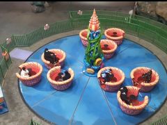-青岛嘉年华主题乐园